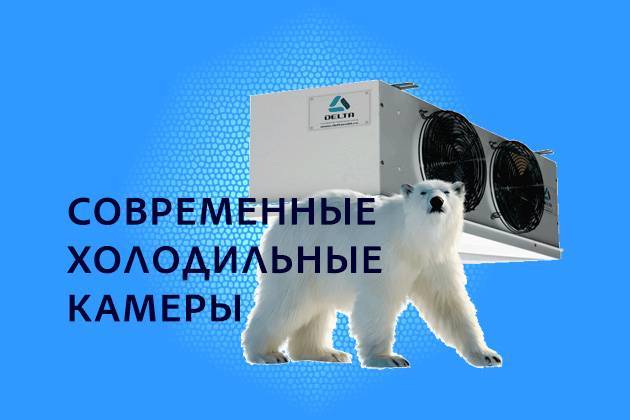 Современные холодильные камеры
